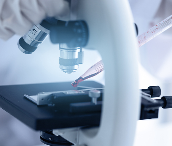 Biological Role and Therapeutic Potential of IDH Mutations in Cancer